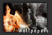 :: view wallpapers ::